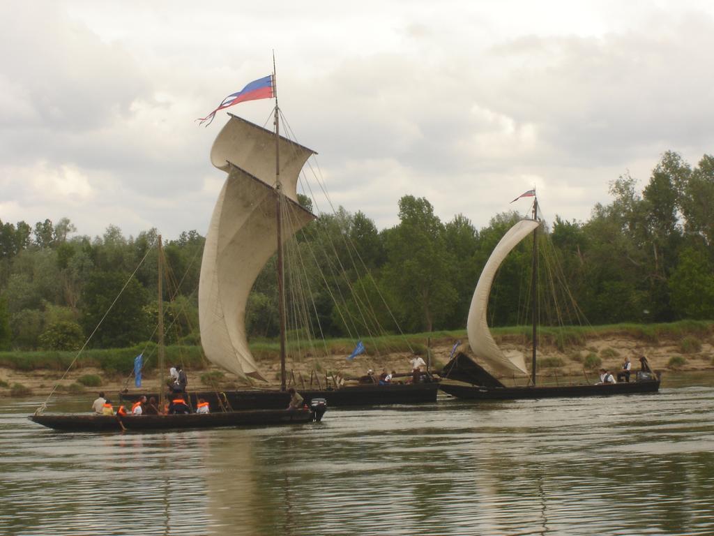 Apartamento Les Bords De Loire Veuves Habitación foto